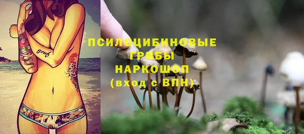 прущий лед Армянск