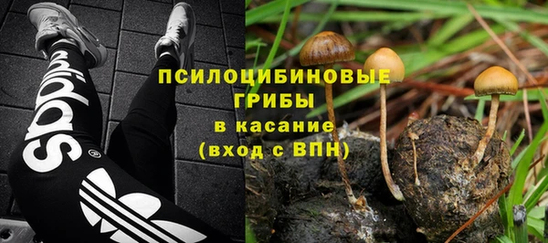 таблы Зуевка