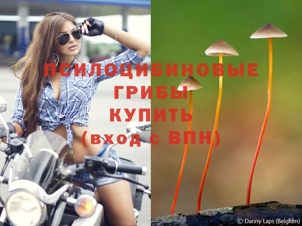 прущий лед Армянск