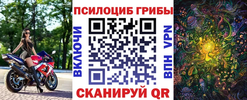 Псилоцибиновые грибы прущие грибы  даркнет сайт  Киреевск 