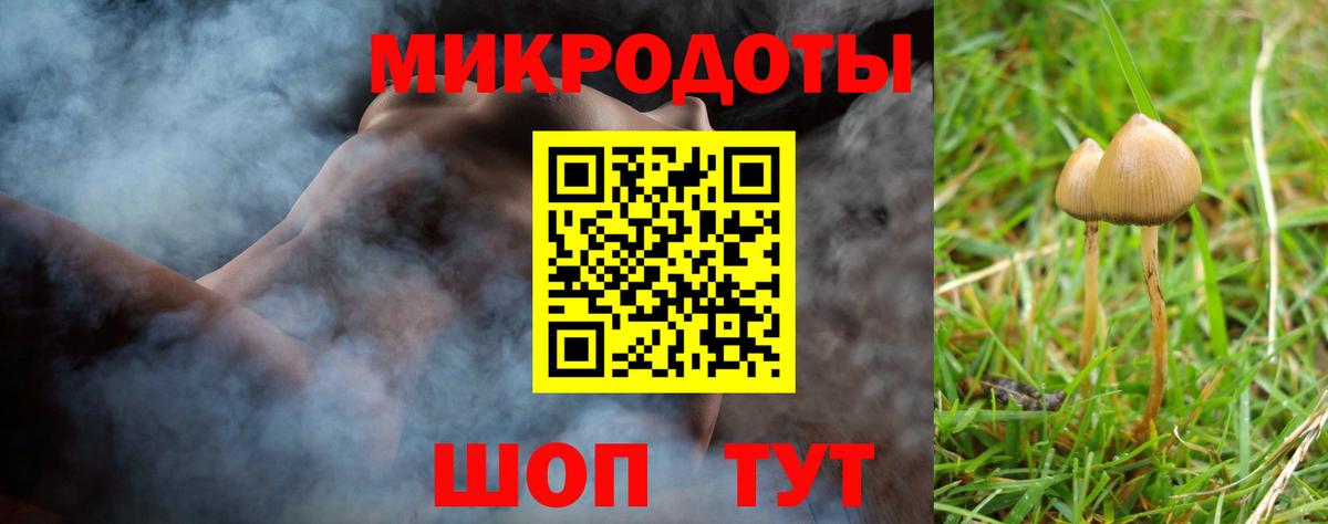 Киреевск  Псилоцибиновые грибы GOLDEN TEACHER  Вход с VPN 