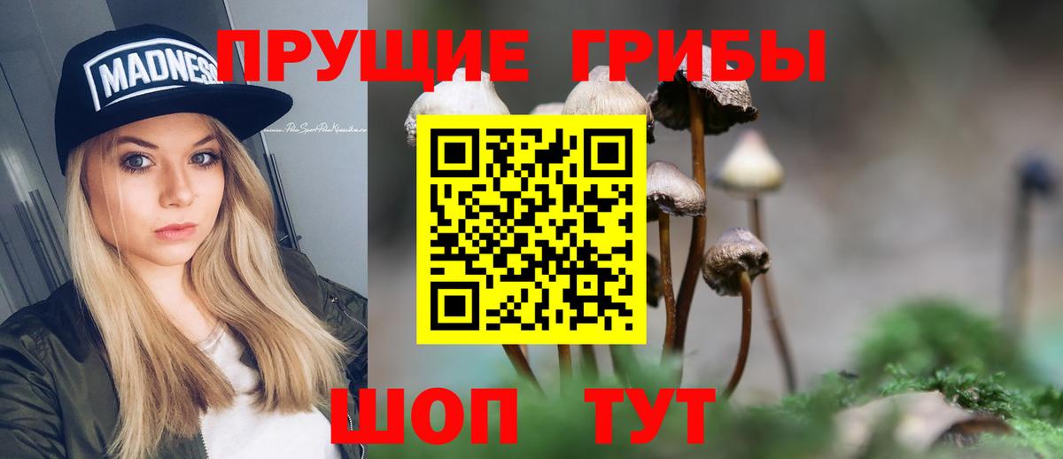 Псилоцибиновые грибы ЛСД Киреевск