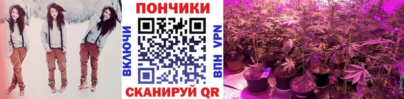 Каннабис марихуана  Киреевск 
